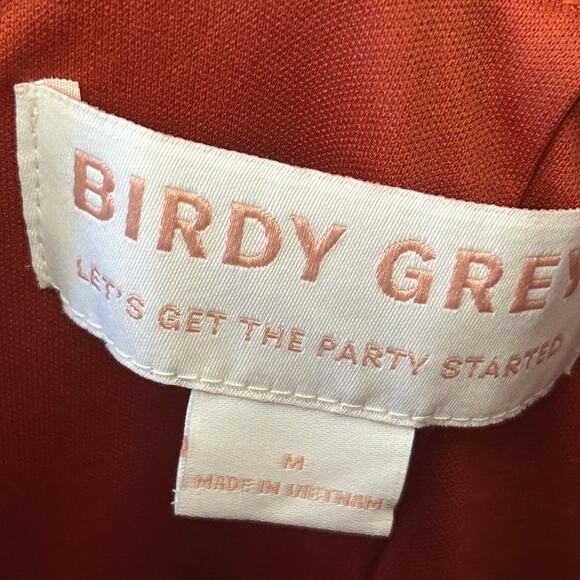 Birdy Grey Ash Dress
Velvet Burnt Orange - Picture 3 of 12